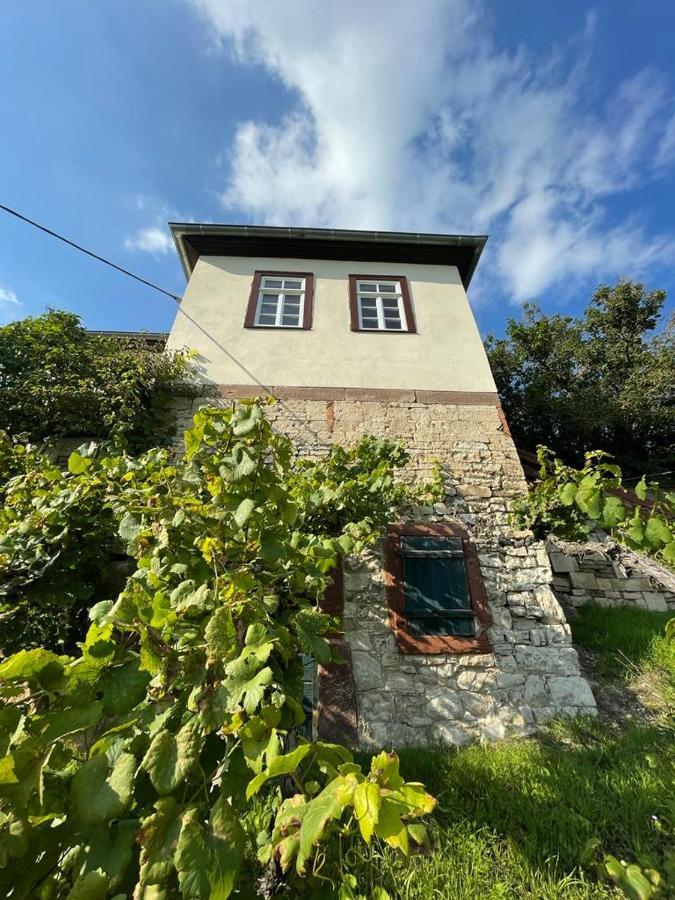 Ferienhaus Traminer Im Weinberg Freyburg Extérieur photo