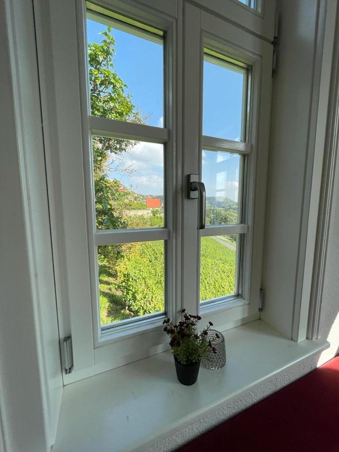 Ferienhaus Traminer Im Weinberg Freyburg Extérieur photo
