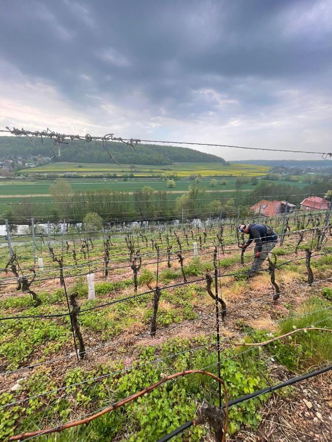 Ferienhaus Traminer Im Weinberg Freyburg Extérieur photo