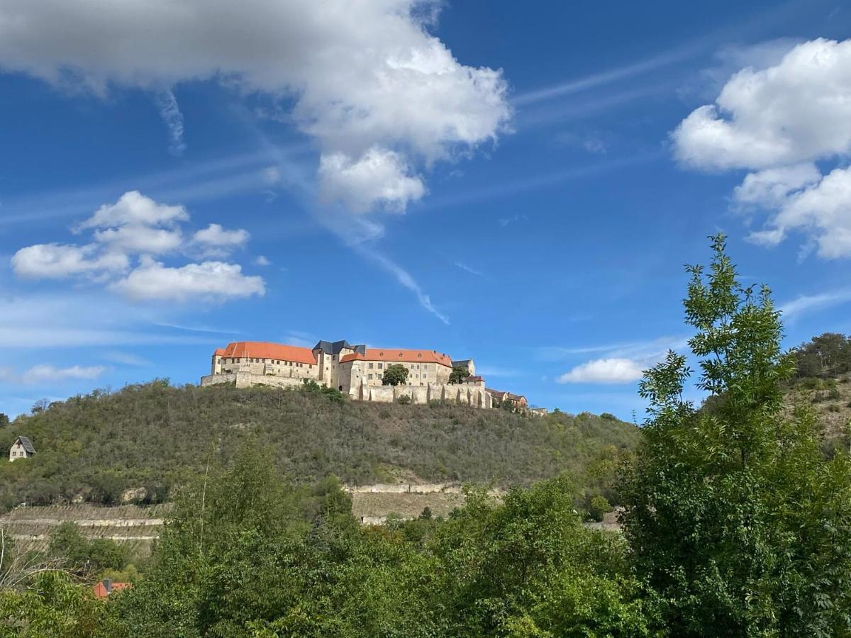 Ferienhaus Traminer Im Weinberg Freyburg Extérieur photo