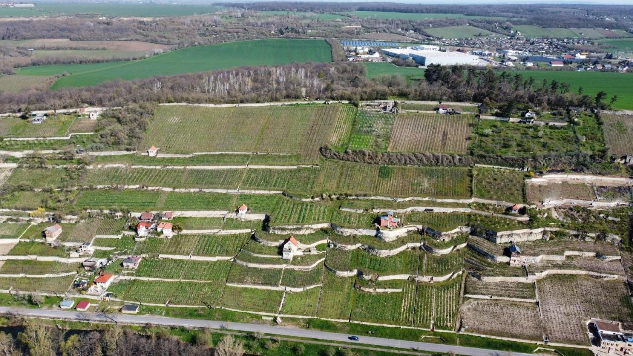 Ferienhaus Traminer Im Weinberg Freyburg Extérieur photo